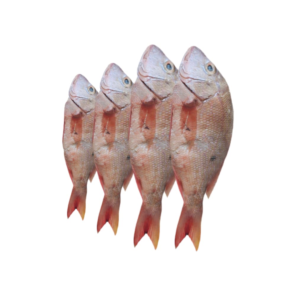 Pescado pargo rojo entero La Finca (2 kg / 4.4 lb)