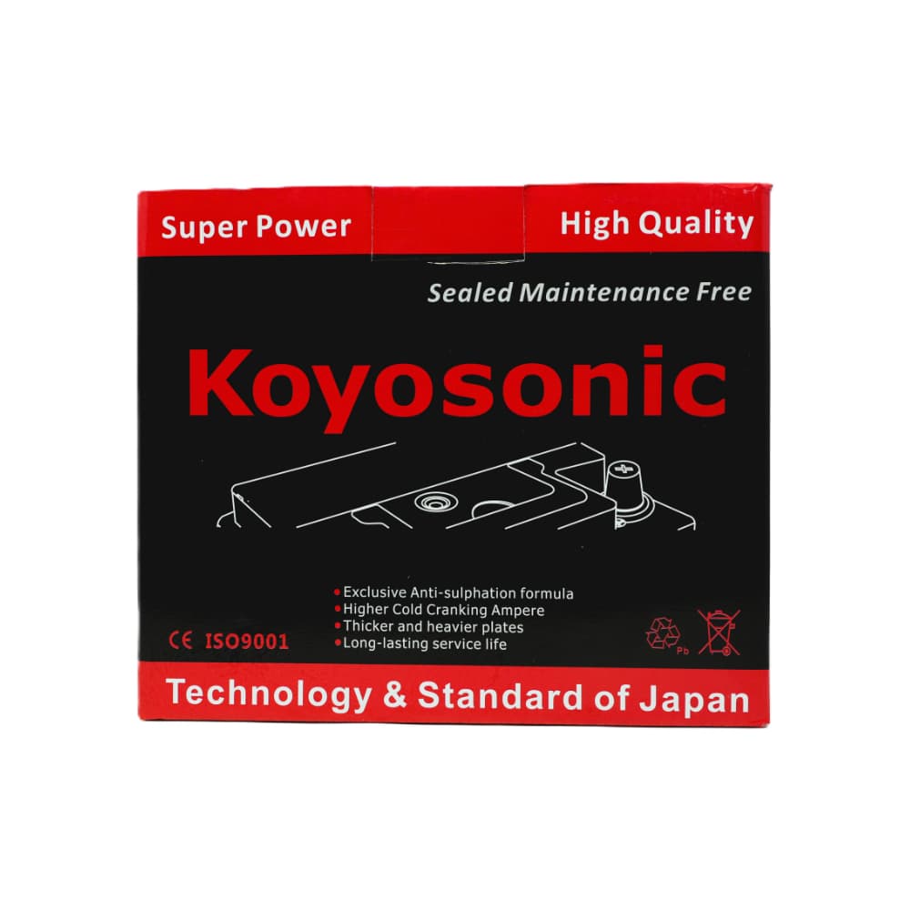 Batería Koyosonic 12V45AH - 5