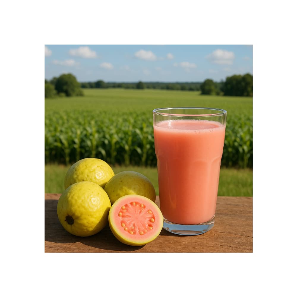 Lasca de guayaba LGCL (1 kg / 2.2 lb) - 4