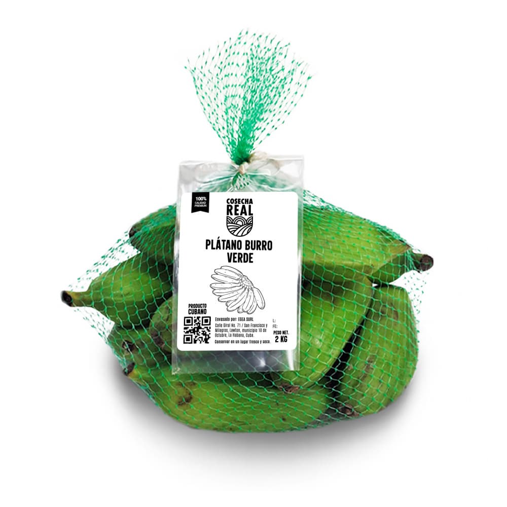 Plátano burro verde Cosecha Real (2 kg / 4.4 lb)