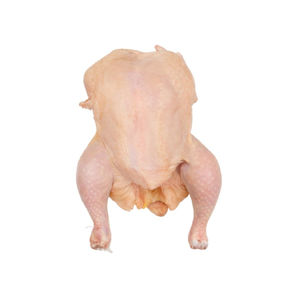 Pollo entero eviscerado Yunque (1.2 kg / 2.64 lb)
